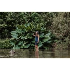 Grayl GEOPRESS PURIFIER - Trinkwasserfilter 13 Grayl GEOPRESS PURIFIER - Trinkwasserfilter -Outdoor-Campingausrüstung 5637917282 f geopress purifier grayl 24